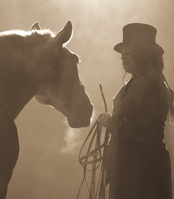 Pferd und Reiter im Nebellicht