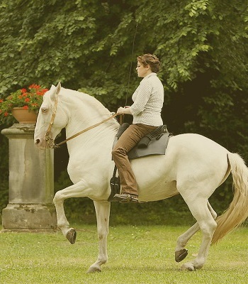 Reiterin auf dem Pferd